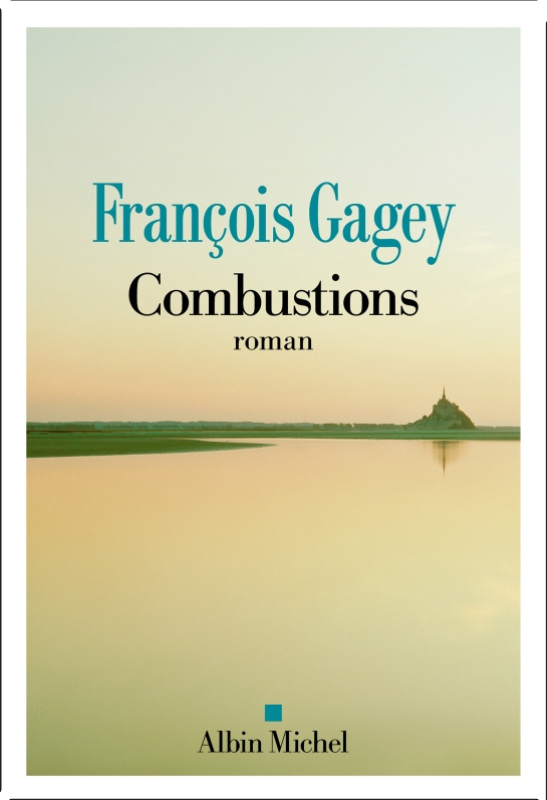 François Gagey - Combustions