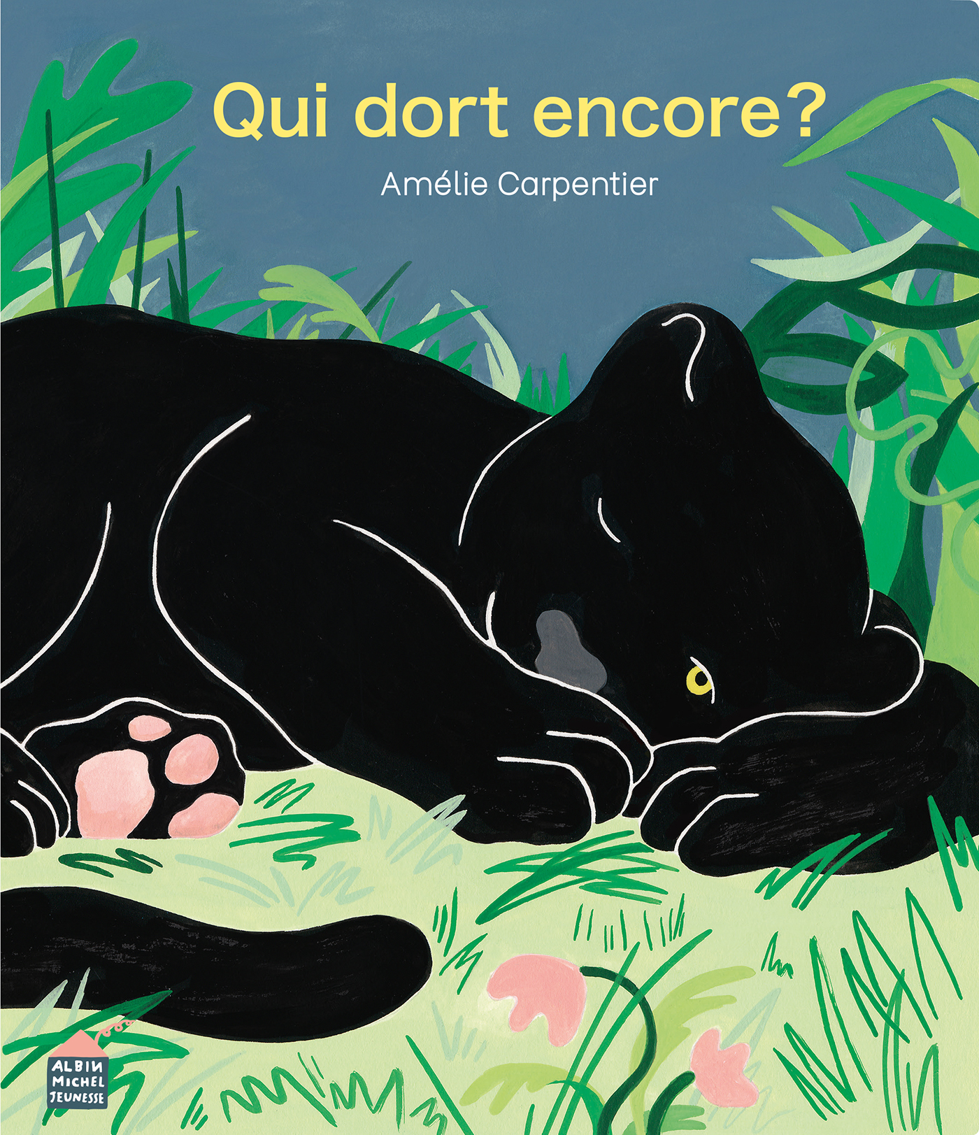 Couverture du livre Qui dort encore ?