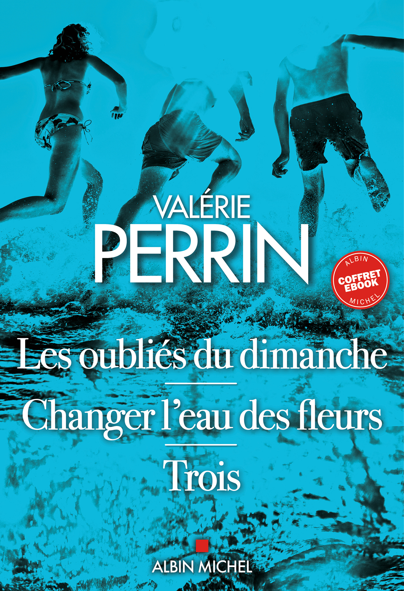 Couverture du livre Coffret Valérie Perrin - Intégrale