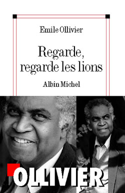 Couverture du livre Regarde, regarde les lions