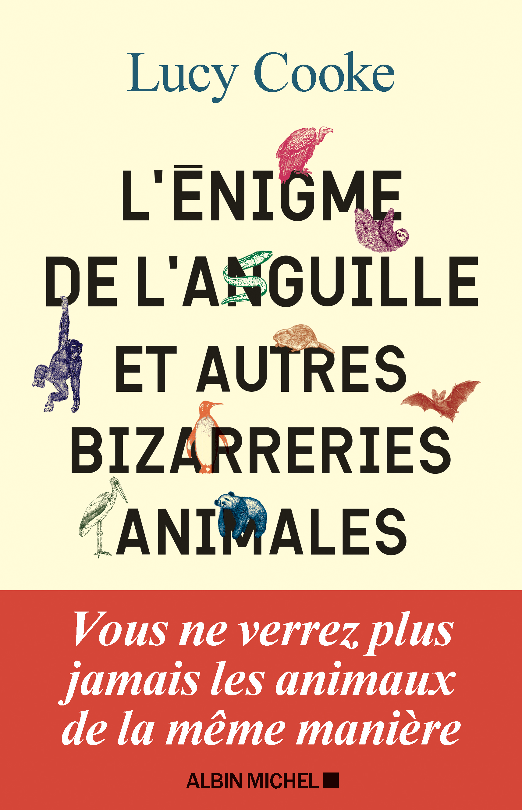 Couverture du livre L’Enigme de l’anguille