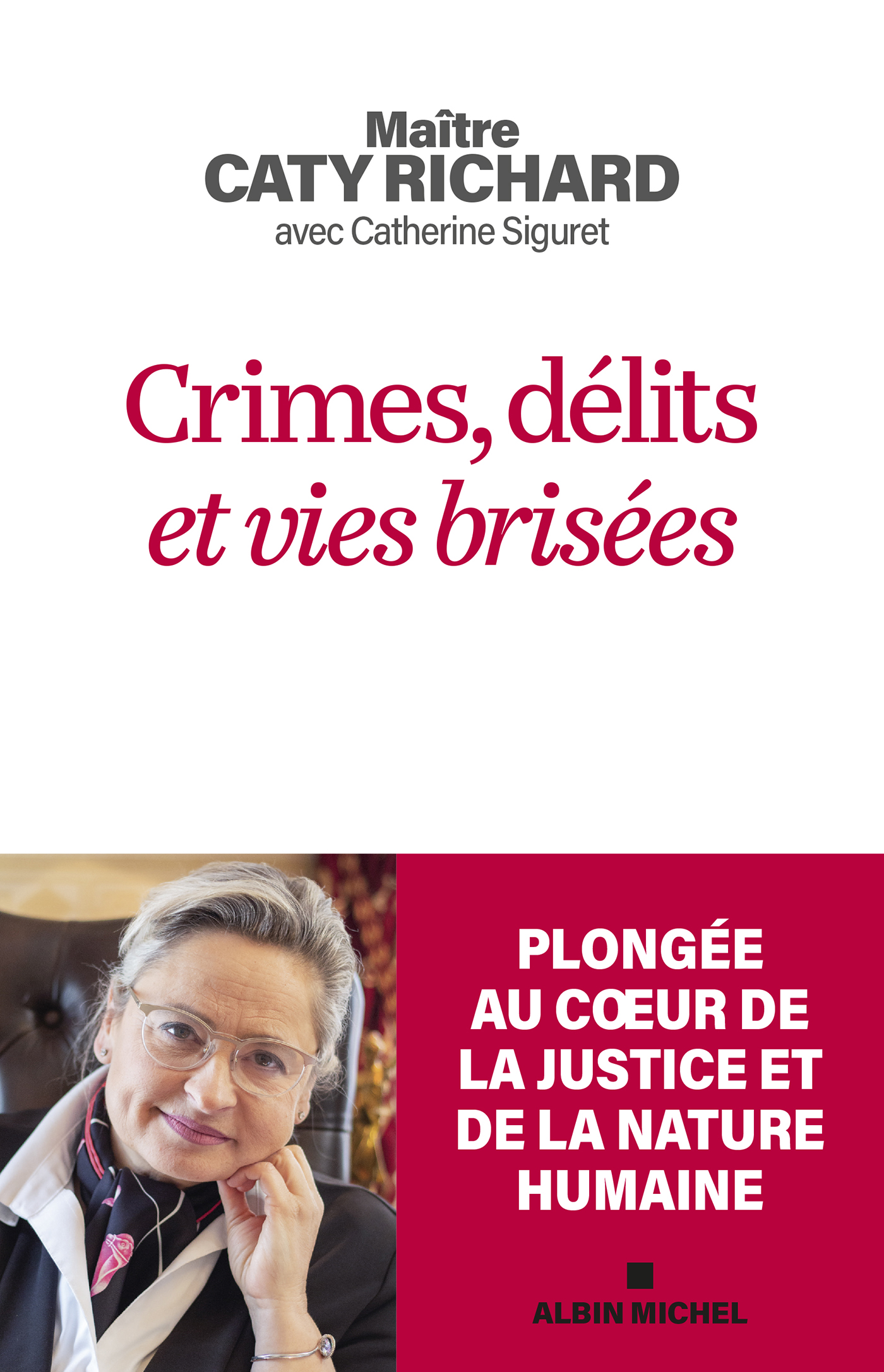 Couverture du livre Crimes, délits et vies brisées