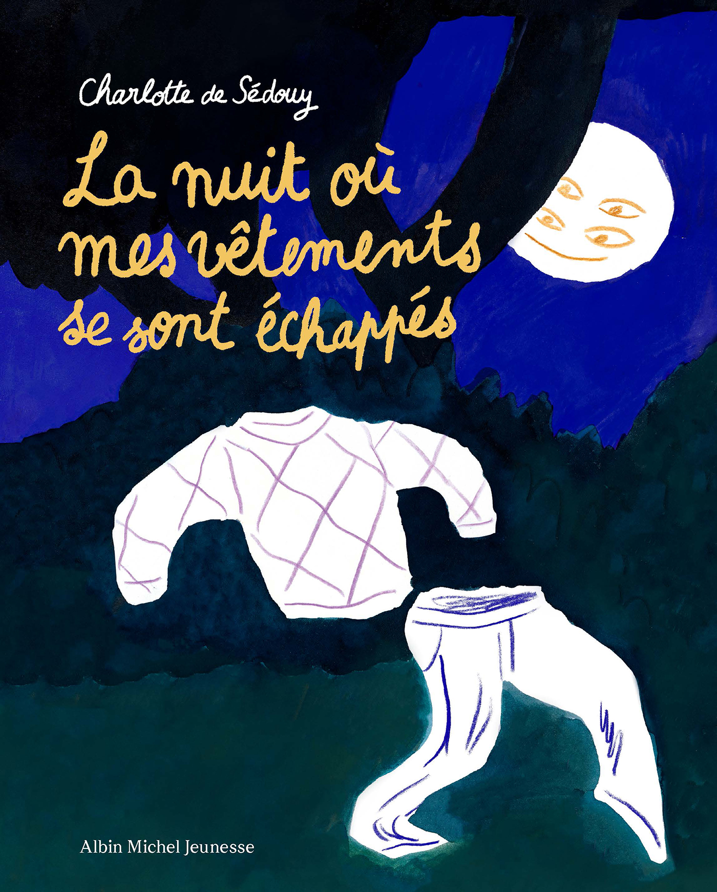 Couverture du livre La Nuit où mes vêtements se sont échappés