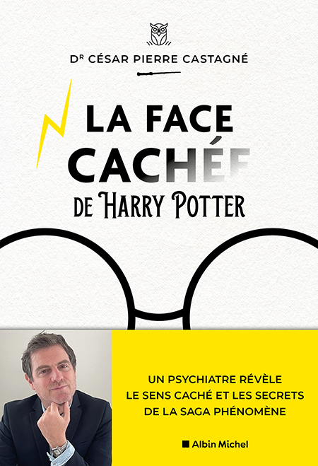 Couverture du livre La Face cachée d'Harry Potter