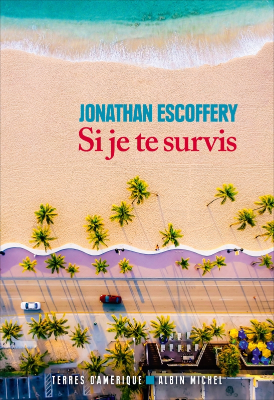 Couverture du livre Si je te survis