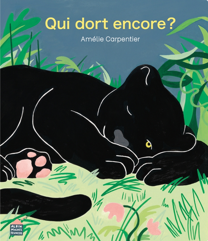 Couverture du livre Qui dort encore ?