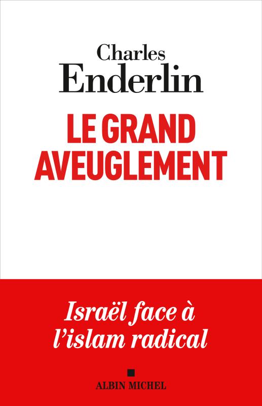 Couverture du livre Le Grand Aveuglement (nouvelle édition augmentée)