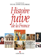 Couverture de Histoire juive de la France