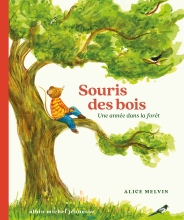 Couverture de Souris des bois - Une année dans la forêt